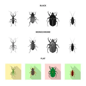 Isolated object of insect and fly sign. Set of insect and element stock vector Stock Illustration