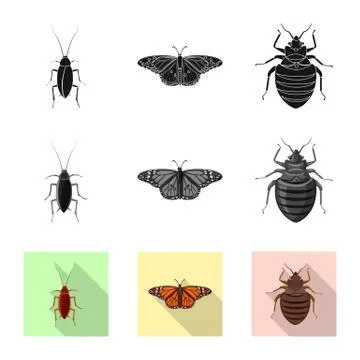 Isolated object of insect and fly icon. Collection of insect and element stock Stock Illustration