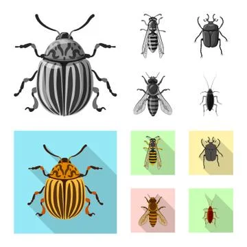 Isolated object of insect and fly sign. Set of insect and element stock vector Ilustración de archivo