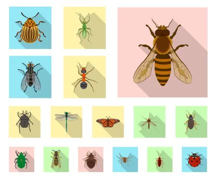 Isolated object of insect and fly logo. Collection of insect and element stock Illustrazione stock