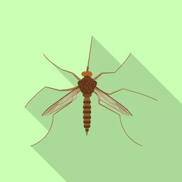Isolated object of insect and fly symbol. Set of insect and element stock vector Stock-Illustration