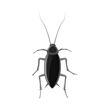 Isolated object of insect and fly sign. Set of insect and element vector icon Stock Illustration
