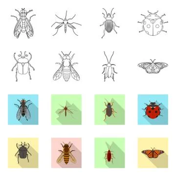 Isolated object of insect and fly logo. Set of insect and element vector icon Stock Illustration