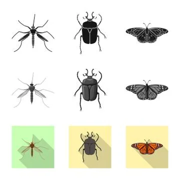 Isolated object of insect and fly icon. Set of insect and element stock symbol イラスト素材