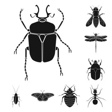 Isolated object of insect and fly logo. Collection of insect and element vector Illustrazione stock