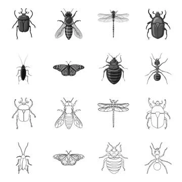 Isolated object of insect and fly logo. Collection of insect and element stock Illustrazione stock