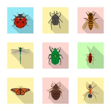 Isolated object of insect and fly logo. Set of insect and element stock vector Stock Illustration