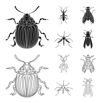 Isolated object of insect and fly symbol. Collection of insect and element stock Illustrazione stock