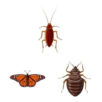 Isolated object of insect and fly logo. Collection of insect and element stock Stock Illustration