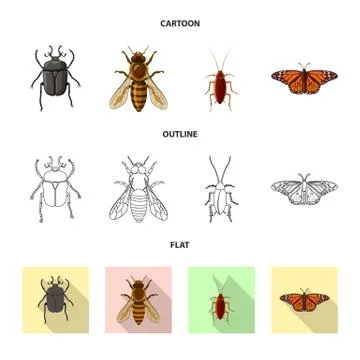 Isolated object of insect and fly sign. Set of insect and element stock vector Stock Illustration