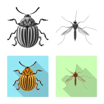 Isolated object of insect and fly sign. Set of insect and element stock symbol Stock-Illustration