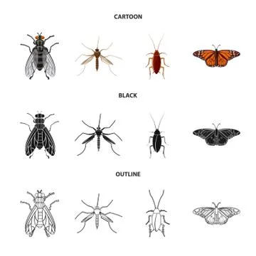 Isolated object of insect and fly symbol. Set of insect and element vector icon Stock Illustration