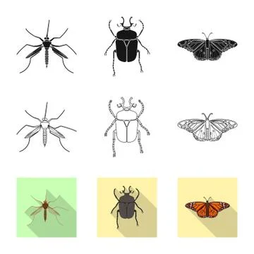 Isolated object of insect and fly sign. Set of insect and element vector icon Stock Illustration