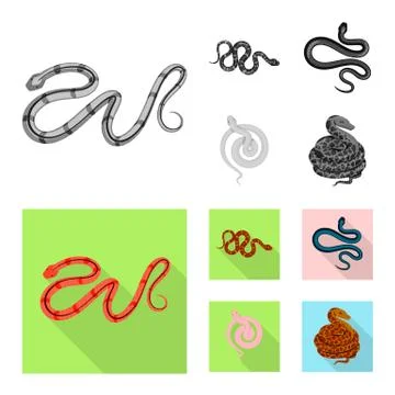 Isolated object of mammal and danger logo. Set of mammal and medicine vector Stock Illustration
