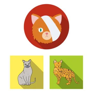 Isolated object of pet and sphynx logo. Collection of pet and fun vector icon Stock Illustration
