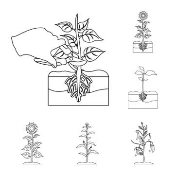 Isolated object of plant and bean logo. Collection of plant and process vector Stock Illustration