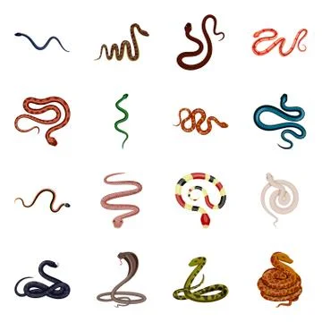 Isolated object of poison and evil logo. Set of poison and bite stock vector Stock Illustration