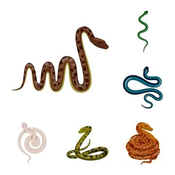 Isolated object of poison and evil symbol. Collection of poison and bite stock Stock-Illustration