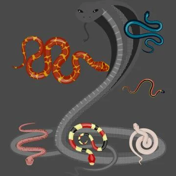 Isolated object of poison and evil icon. Set of poison and bite vector icon for Stock Illustration