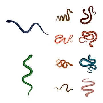 Isolated object of poison and evil icon. Set of poison and bite stock symbol for 库存插图