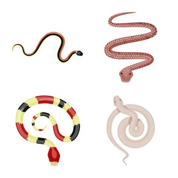 Isolated object of poison and evil logo. Set of poison and bite vector icon for Stock Illustration