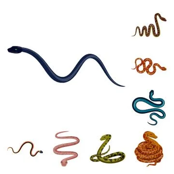 Isolated object of poison and evil icon. Collection of poison and bite stock Stock Illustration