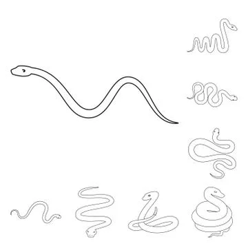 Isolated object of poison and evil symbol. Set of poison and bite vector icon Illustrazione stock