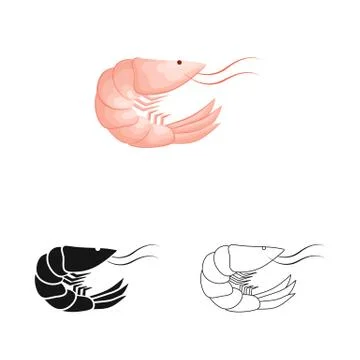 Isolated object of prawn and creature logo. Collection of prawn and fresh vector Stock Illustration