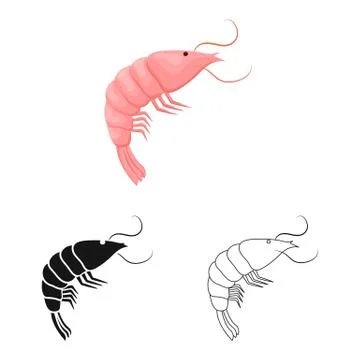 Isolated object of prawn and raw logo. Collection of prawn and luxury stock Stock Illustration