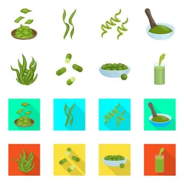 Isolated object of protein and sea symbol. Collection of protein and natural Stock Illustration