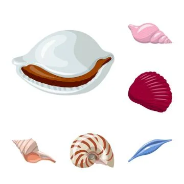 Isolated object of seashell and mollusk logo. Collection of seashell and seafood Stock Illustration