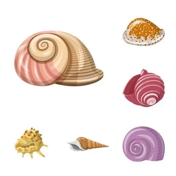 Isolated object of seashell and mollusk logo. Set of seashell and seafood stock Stock Illustration