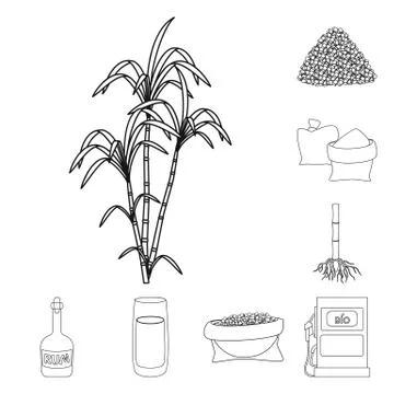 Isolated object of sugar and field sign. Set of sugar and plantation stock Stock Illustration