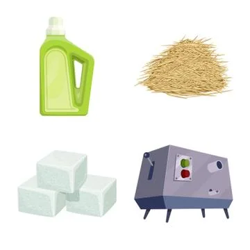 Isolated object of sugarcane and cane sign. Set of sugarcane and field vector Illustrazione stock