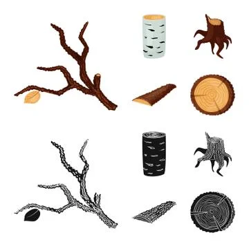 Isolated object of tree and raw icon. Set of tree and construction stock vector 스톡 일러스트