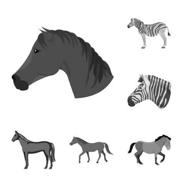 Isolated object of trot and running logo. Collection of trot and clipart stock Illustrazione stock