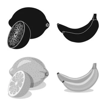 Isolated object of vegetable and fruit icon. Set of vegetable and vegetarian Stock Illustration