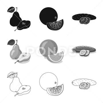 Isolated object of vegetable and fruit sign. Collection of vegetable and Stock Illustration
