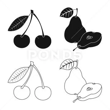Isolated object of vegetable and fruit sign. Collection of vegetable and Stock Illustration