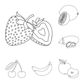Isolated object of vegetable and fruit icon. Collection of vegetable and Stock Illustration