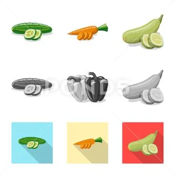 Isolated object of vegetable and fruit icon. Collection of vegetable and Stock Illustration