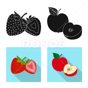 Isolated object of vegetable and fruit icon. Collection of vegetable and Stock Illustration