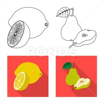 Isolated object of vegetable and fruit sign. Collection of vegetable and Stock Illustration