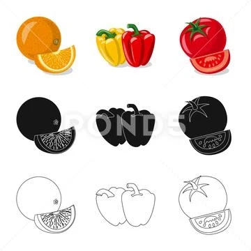 Isolated object of vegetable and fruit sign. Collection of vegetable and Stock Illustration
