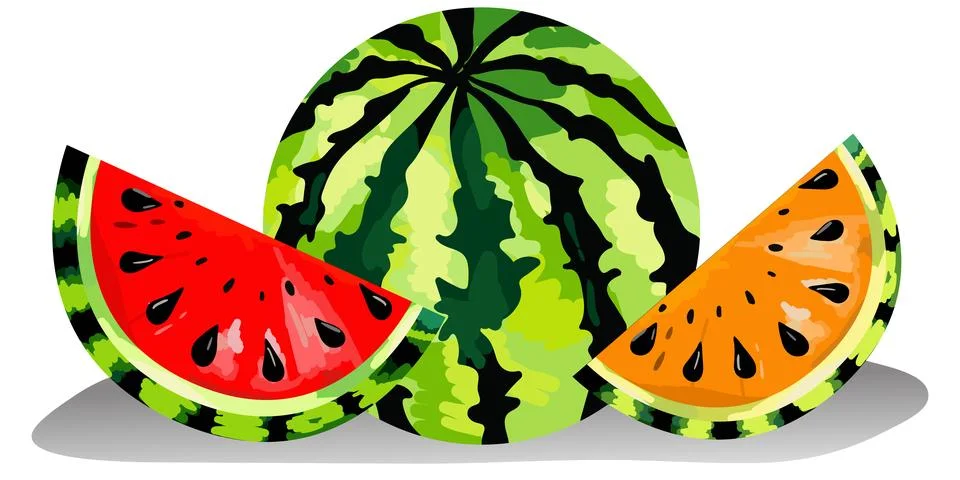 Isolated object watermelon vector bright fruit with red and yellow slices. .. Stock Illustration