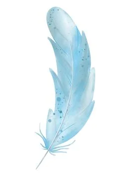 Isolated object on a white background. Watercolor blue boho feather. Stock Illustration