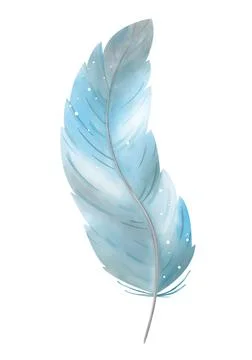 Isolated object on a white background. Watercolor blue boho feather. Stock Illustration
