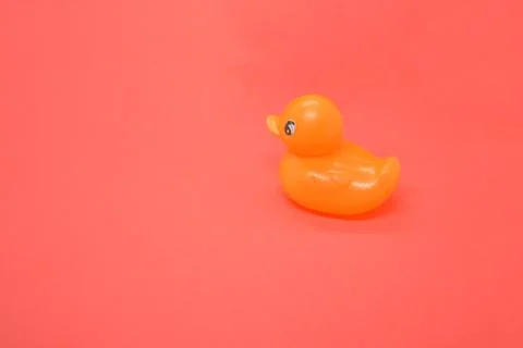 Isolated objects on a solid colored background Stock Photos