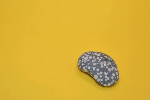 Isolated objects on a solid colored background Stock Photos