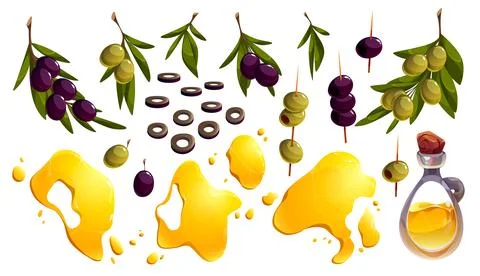 Isolated Olive tree branch set with oil bottle Stock Illustration